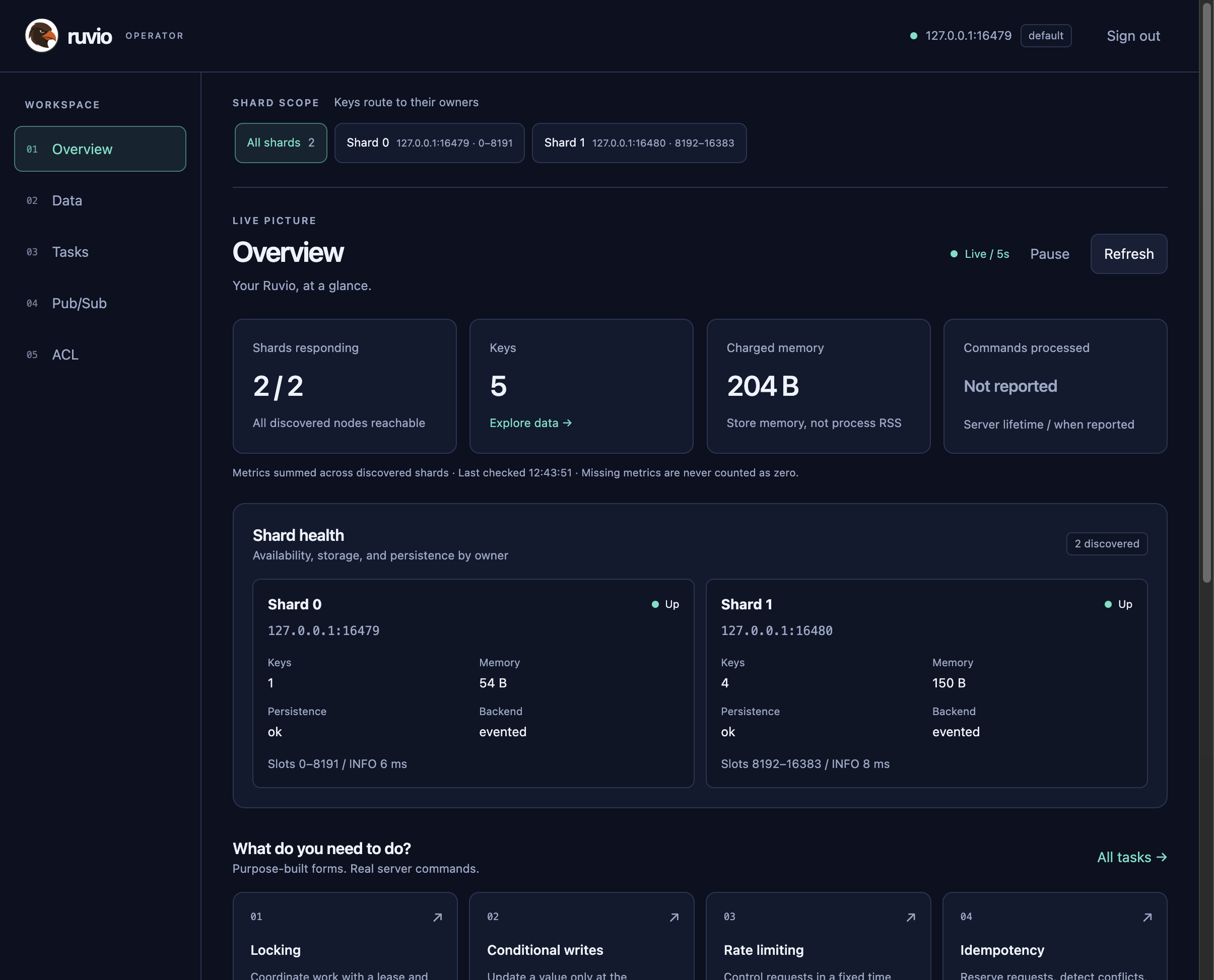 Overview showing two shards, key counts, and persistence